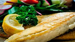 seabass